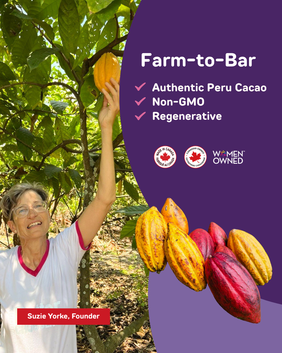 Creamy Pure Chocolate Bars, Zero Sugar added, +High Protein (16g*), High Pre-Biotics Fibre, VARIETY (x4 Milk, x4 Dark, x2 Mint) *Best Seller* (10x34g)