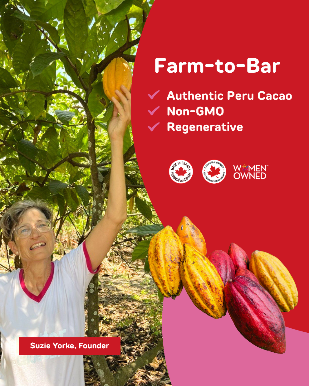 Creamy, Melt-in-your-Mouth Pure Chocolate Bars, Zero Sugar added, High Pre-Biotics Fibre, Milk Chocolate, High Antioxidants (12x32g)